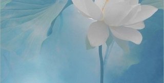 Человек духовно жив не потому, что безгрешен, а вопреки своей греховности