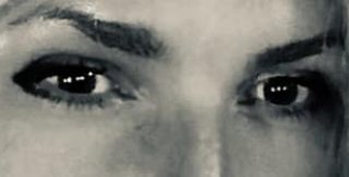 Хам - это всегда дурак