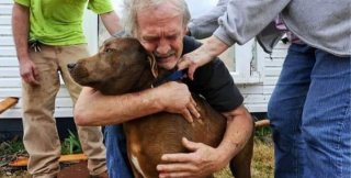 Старик принёс своего пса на усыпление, потому что не имел денег, чтобы спасти питомца