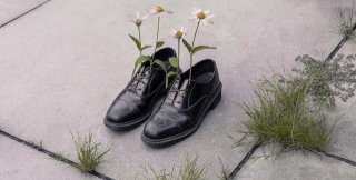  Фото Брука ДиДонато