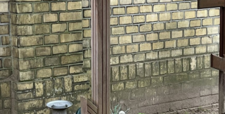 Всё близко и все - близкие