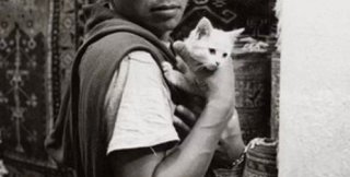 Когда ты в лесу, ты становишься частью леса. Весь, без остатка...