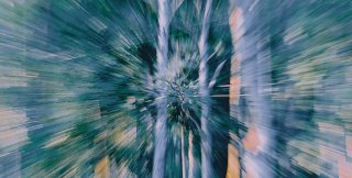 Фото А. Ковтун