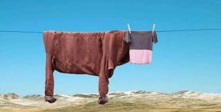 Когда приходит враг, он стремится развеять твои иллюзии, чтобы заменить их своими