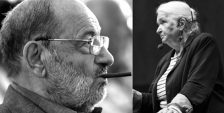 Способность получить высококлассное образование может стать элитарной привилегией