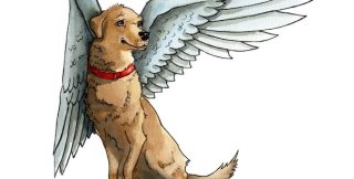 Почему собаки похожи на ангелов в своей любви к человеку?