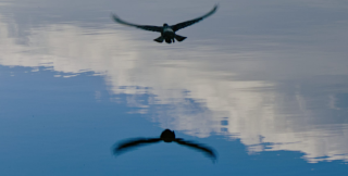 Поэт - это инстанция