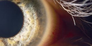 Взгляд важнее слов