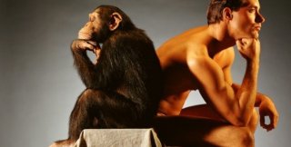 Очень легко жить тому, кто видит в людях самостных обезьян...