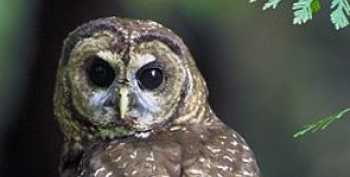 Действовать можно структурно и ситуативно