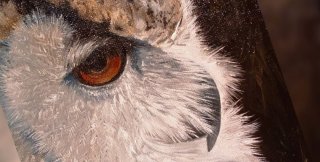 Своими я называю людей одной жажды