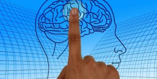 Мозг это интерфейс между идеальным и материальным