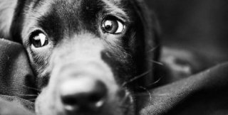 Их бог - человек. Что может быть страшнее?!