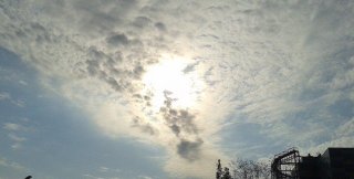 Фото Л. Журбицкой