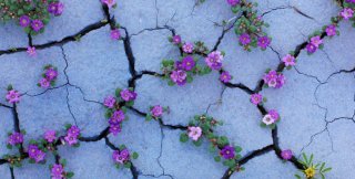 Если поступок другого существенно не меняет доброго расположения к нему...