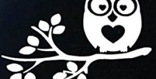 Из равнодушия к истине НИЧЕГО радостного не вырастает