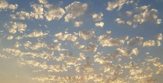 В людях есть механизм, схожий с тем, что заложен в утятах 