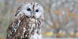 Контекст важнее текста