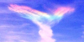 Произвол и послушание Богу - в чём разница?