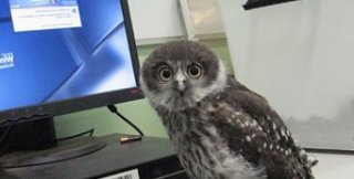 Избыточное пристрастие к точности 