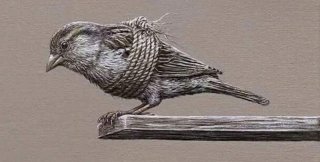 Поэтическое - не патологическое