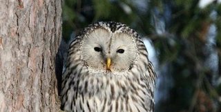 Одни сами себя погубили, других погубили другие