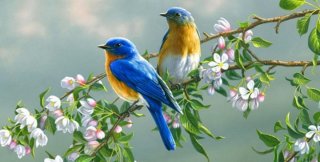 Цветущая ветвь в душе