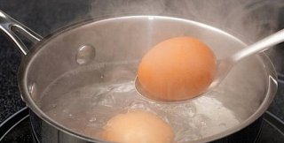 Яйцо в кипятке не может не свариться