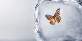 Любая идея, возведённая в ранг абсолюта, убивает