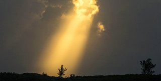 Когда грустно, лучшее лекарство - солнышко в душе другого