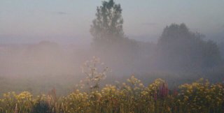 Растёт тот, кто не боится своего непонимания