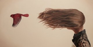 Худ. Алекс Холл (Alex Hall)