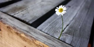 Всё - по Христу