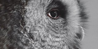 ​​​​​​​Где нет сердца, там будут сплетни