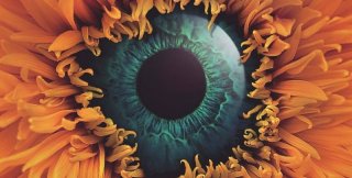 Художник Zulkarnain Ismail