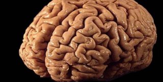 100 тыс химических реакций за 1 секунду