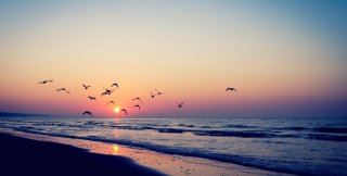 Главное - всегда ускользает