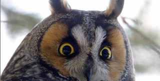 Мы не видим друг друга