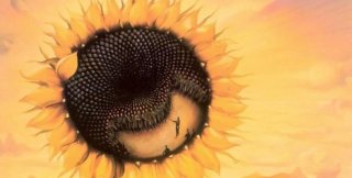 Худ. Владимир Куш