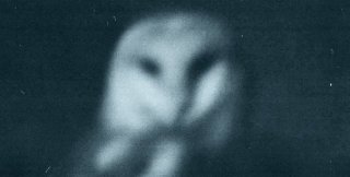 Здешняя жизнь - непрерывное на протяжении веков преодоление смерти