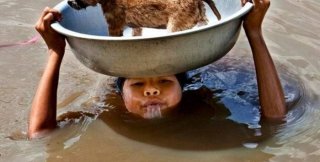 Животные живут в тесных рамках природы и мира, который мы создаём