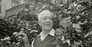 Корней Чуковский в своем фруктовом саду на подмосковной даче. 1957 год. Фото: Максимов / РИА Новости 