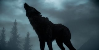 Похороны волка