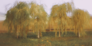 Осень. Лохматая тусовка