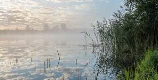 Рябиковское озеро, Смоленская область